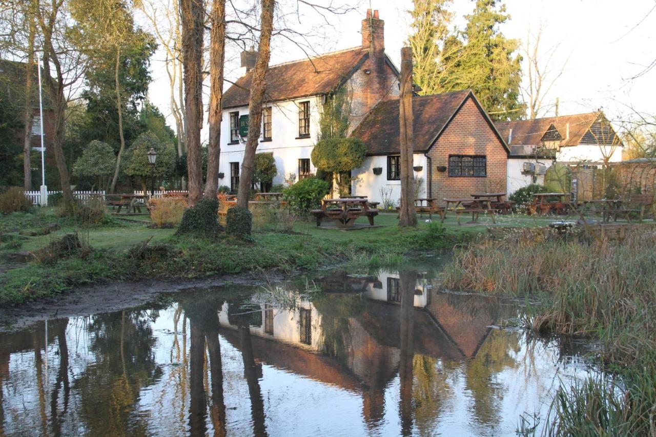 Lane End Cottage Ovington  Экстерьер фото